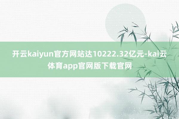 开云kaiyun官方网站达10222.32亿元-kai云体育app官网版下载官网