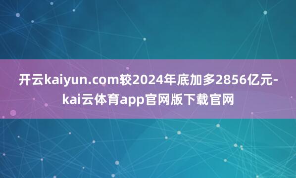 开云kaiyun.com较2024年底加多2856亿元-kai云体育app官网版下载官网
