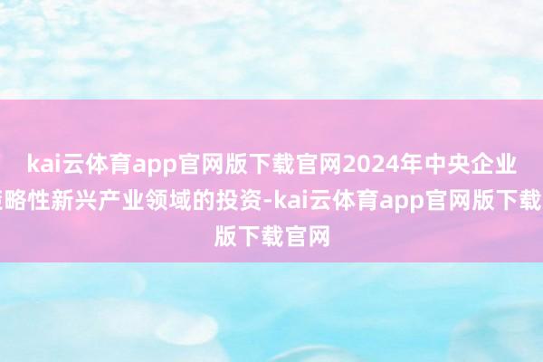 kai云体育app官网版下载官网2024年中央企业在策略性新兴产业领域的投资-kai云体育app官网版下载官网