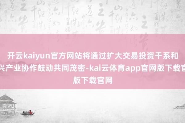 开云kaiyun官方网站将通过扩大交易投资干系和新兴产业协作鼓动共同茂密-kai云体育app官网版下载官网
